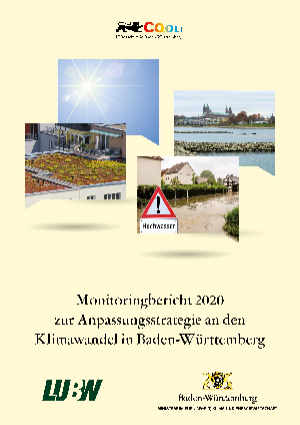 Titelblatt Monitoringbericht 2020